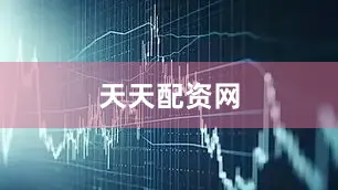 天天配资网