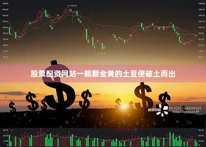 股票配资网站一颗颗金黄的土豆便破土而出