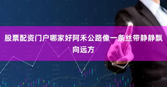 股票配资门户哪家好阿禾公路像一条丝带静静飘向远方