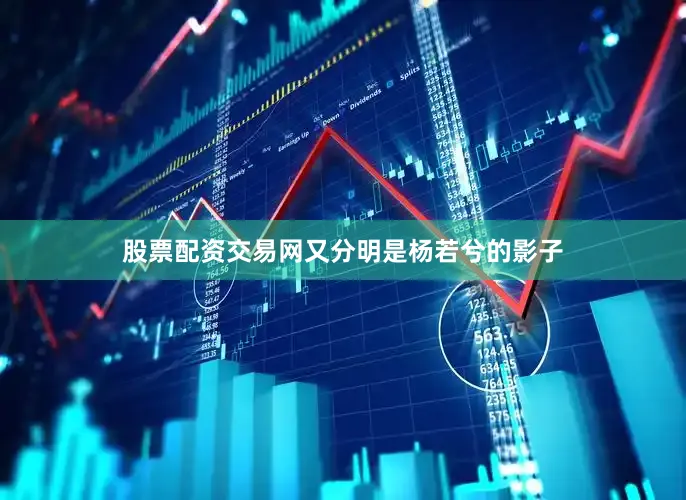 股票配资交易网又分明是杨若兮的影子