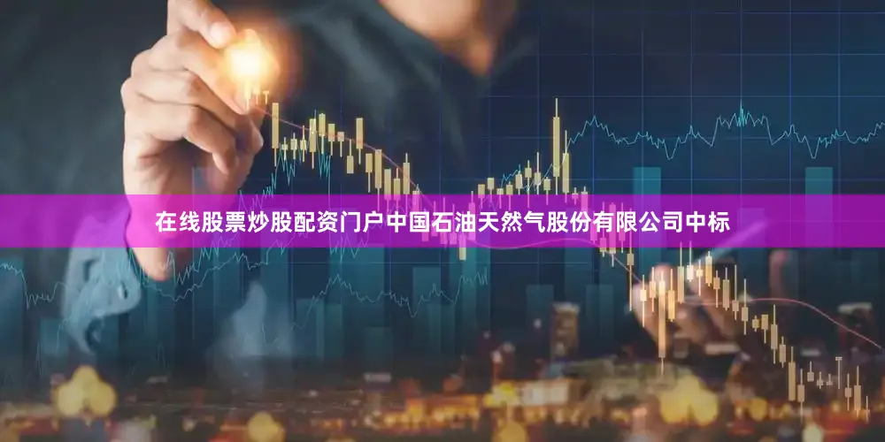 在线股票炒股配资门户中国石油天然气股份有限公司中标