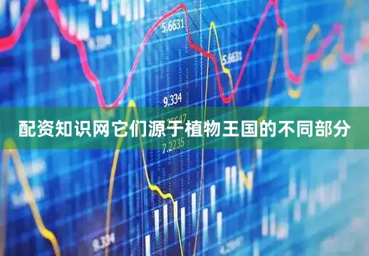 配资知识网它们源于植物王国的不同部分